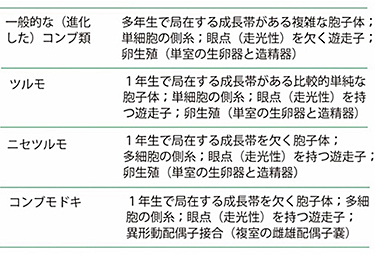 表1 一般的なコンブ類,ツルモ,ニセツルモ,コンブモドキの形態学的特徴.